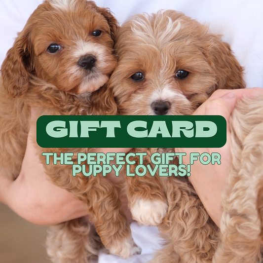 Puppy Yoga Central Coast Gift Card | Yogi Paws Studio NSW