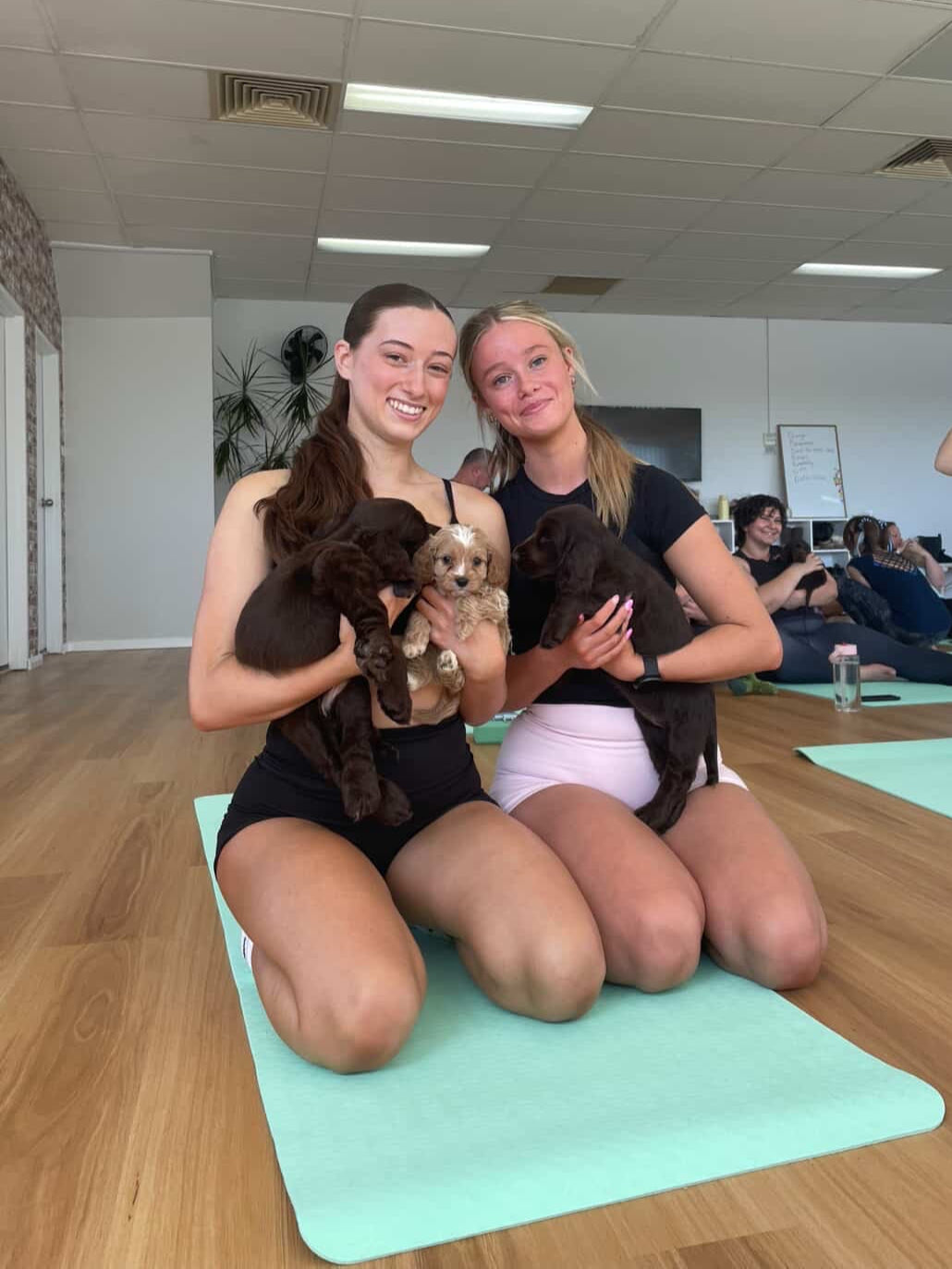 Participants holding puppies at Yogi Paws Puppy Yoga class in Australia on the Central Coast