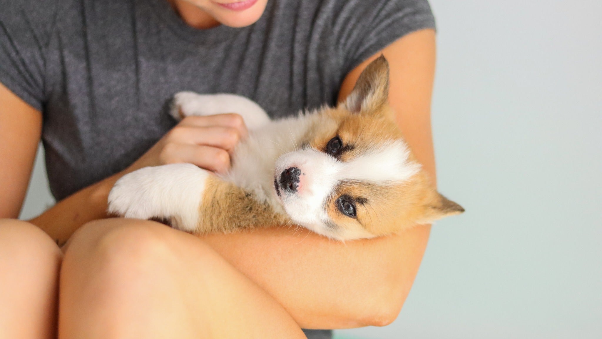Participant cuddling a corgi puppy during Yogi Paws Puppy Yoga class in Australia on the Central Coast