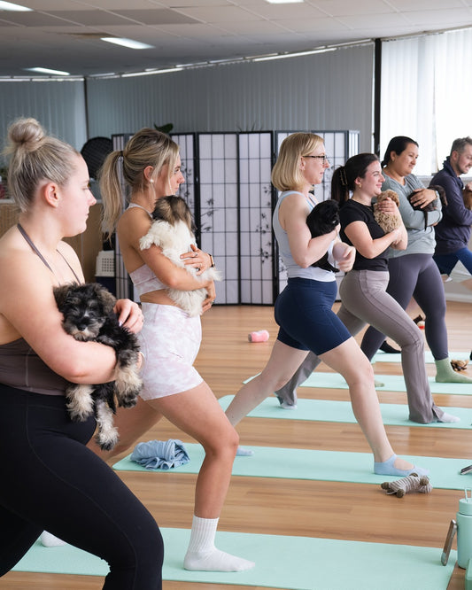 Participants at a Puppy Yoga class on the Central Coast practicing yoga poses while holding adorable puppies, combining relaxation, fitness, and cuddles.