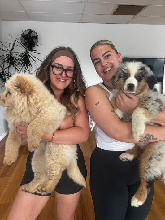 Two women smiling and holding fluffy puppies during a Yogi Paws Puppy Yoga class at the Wyoming Studio on the Central Coast, NSW.