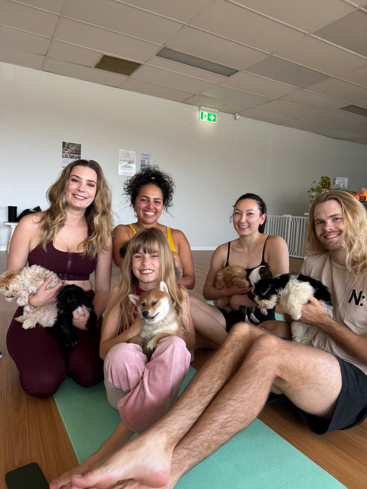 Group of people sitting on yoga mats and smiling while holding puppies during a Yogi Paws Puppy Yoga class on the Central Coast, in a bright indoor studio with wooden floors and white walls.